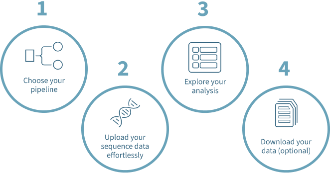 steps-to-using